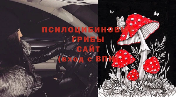 a pvp Алзамай