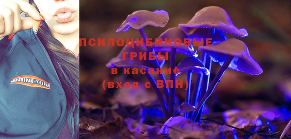 a pvp Алексин