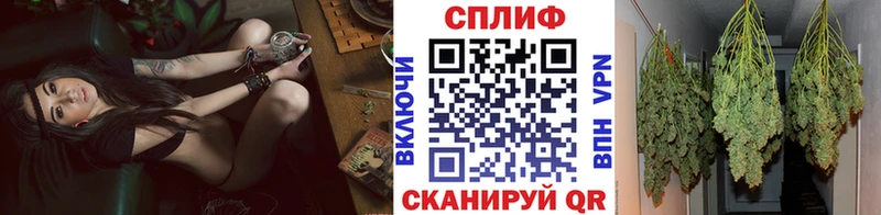 купить Бабаево Конопля сатива
